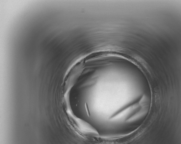 X0000080101069200612221733