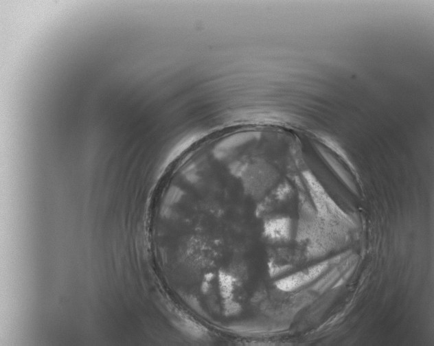 X0000080101071200612221733