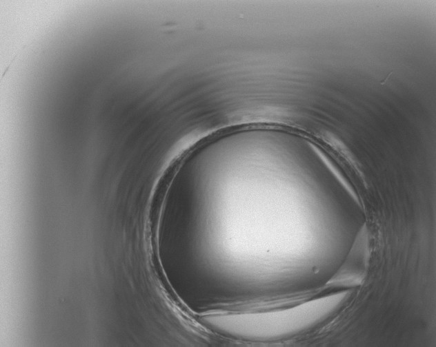 X0000080101072200612221733