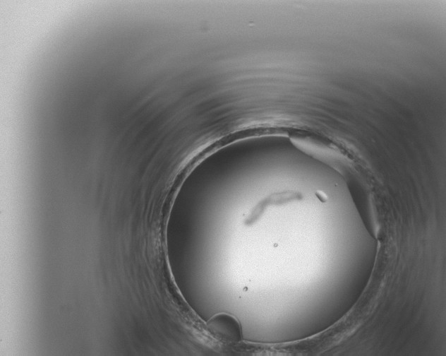 X0000080101073200612221733