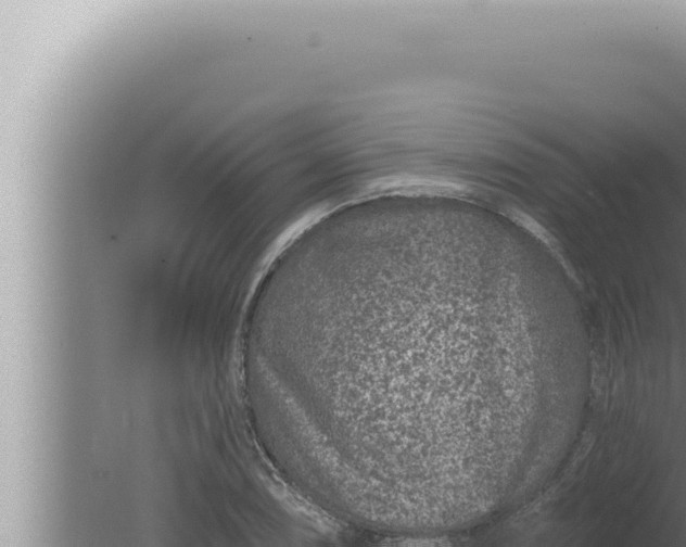 X0000080101074200612221732