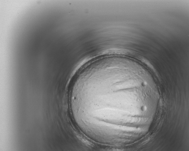 X0000080101075200612221732