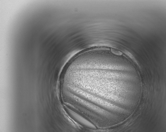 X0000080101076200612221732