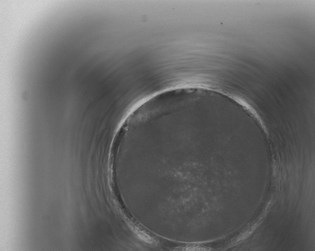 X0000080101077200612221732