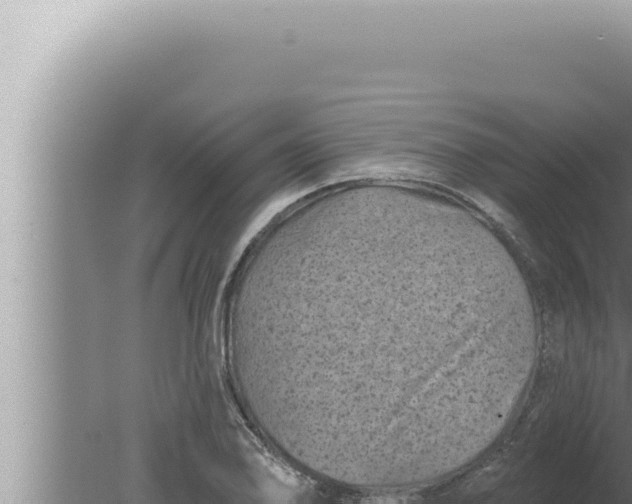 X0000080101078200612221732