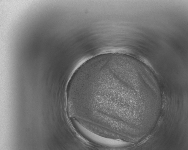 X0000080101079200612221732