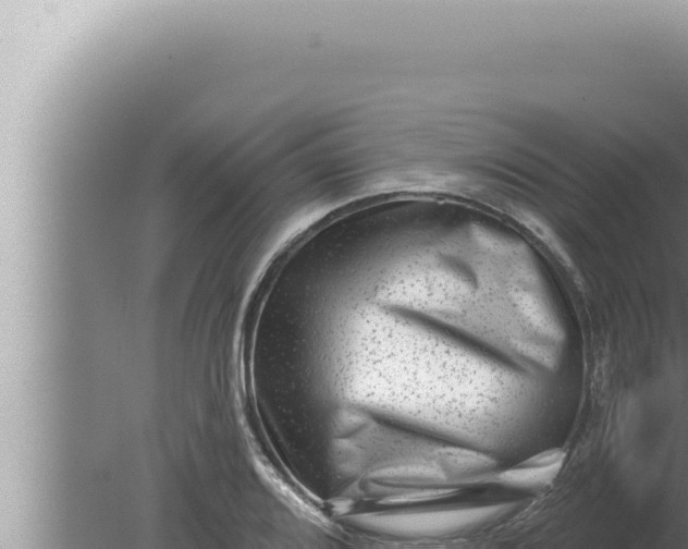 X0000080101080200612221732