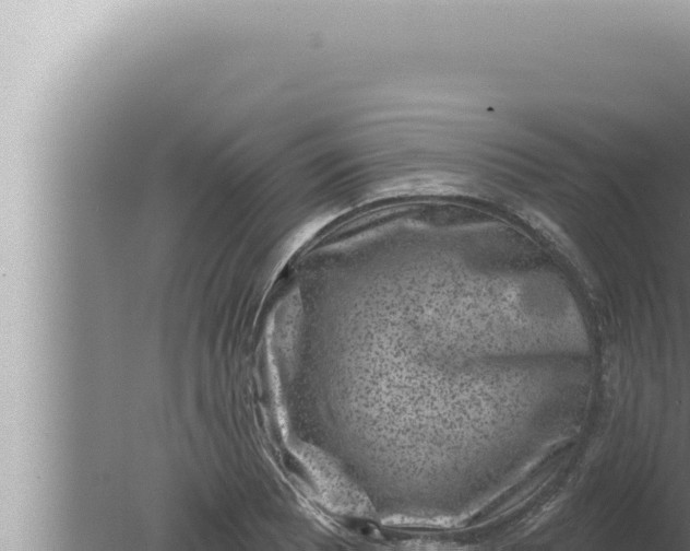 X0000080101081200612221732