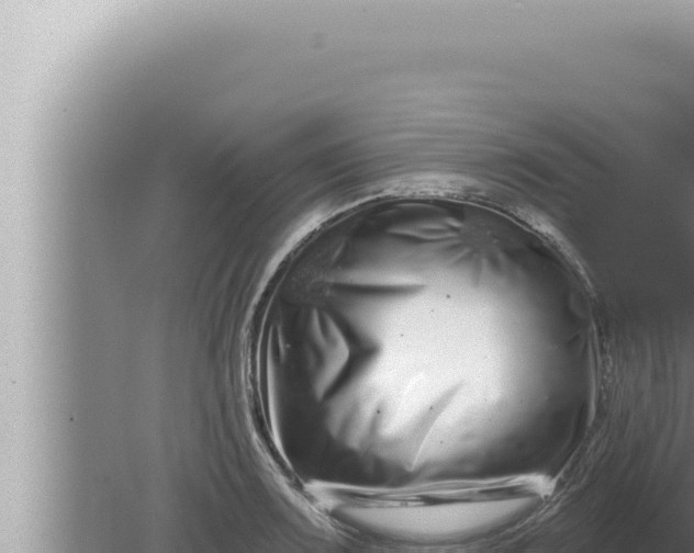 X0000080101083200612221732