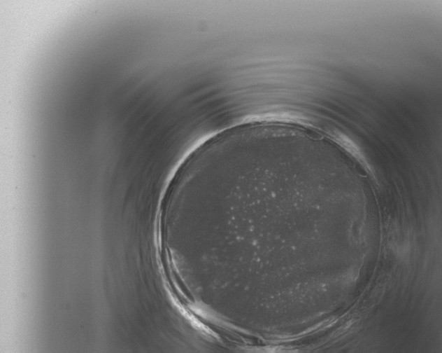 X0000080101084200612221732