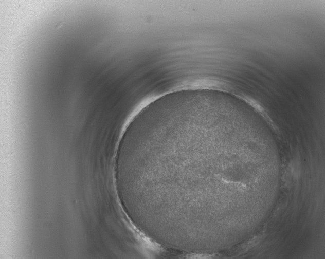 X0000080101086200612221732