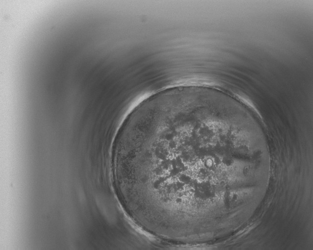 X0000080101087200612221732