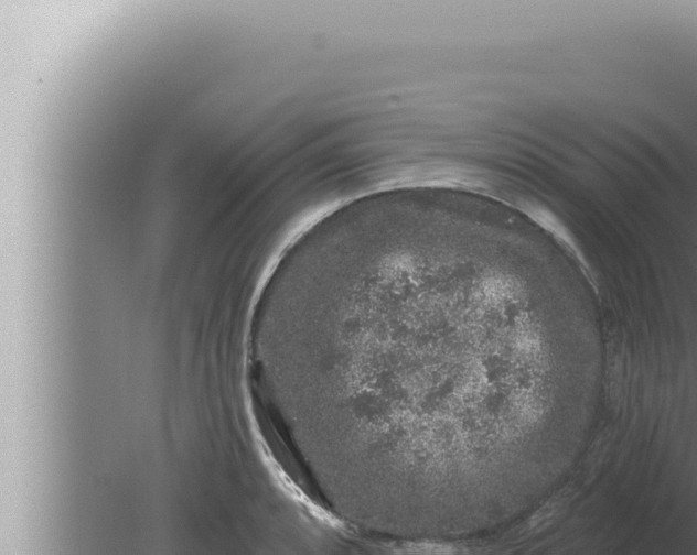 X0000080101088200612221732