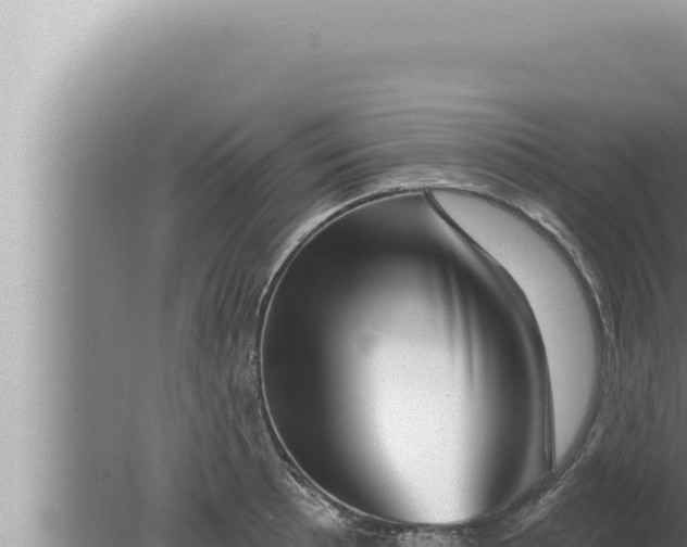 X0000080101089200612221732