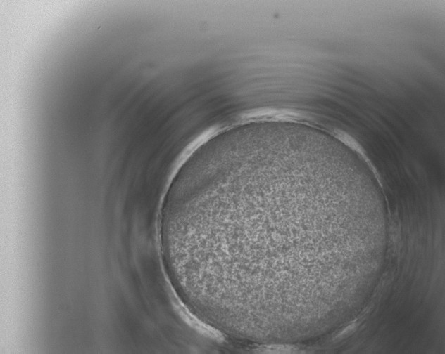 X0000080101090200612221732