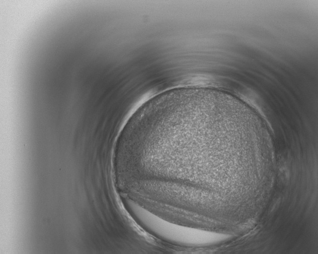 X0000080101091200612221732