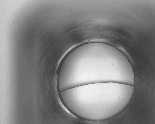 X0000080101092200612221732