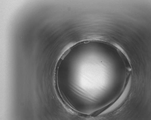 X0000080101093200612221732