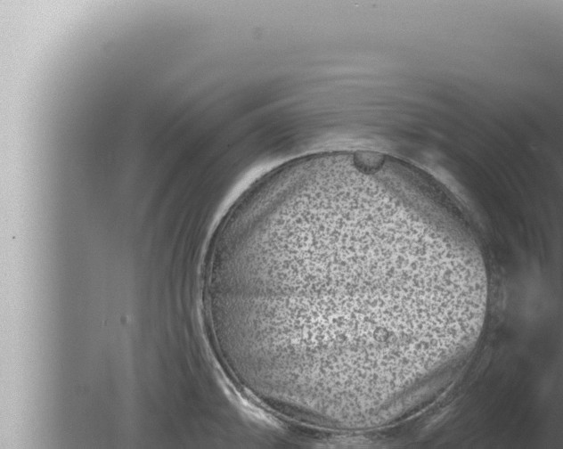 X0000080101094200612221732