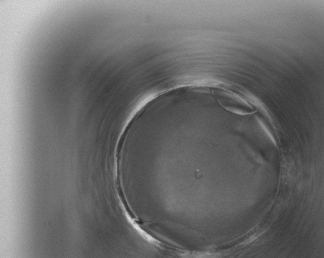 X0000080101095200612221732