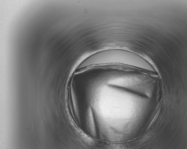 X0000080101096200612221732