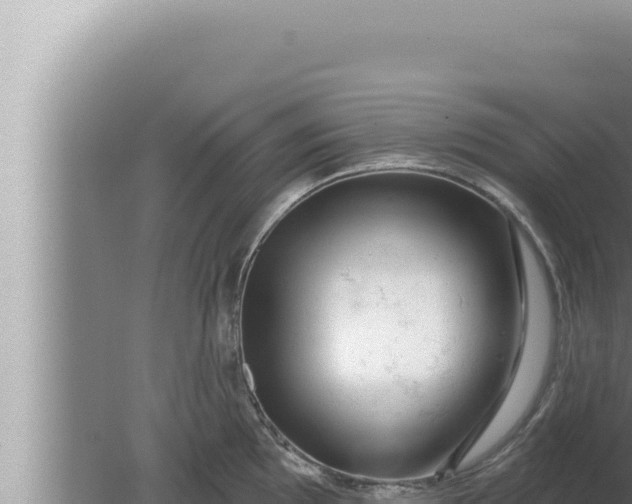 X0000080101097200612221732