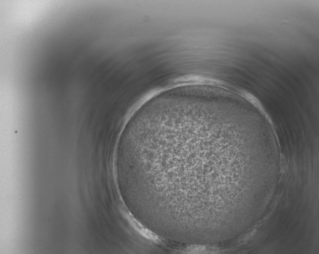 X0000080101098200612221732