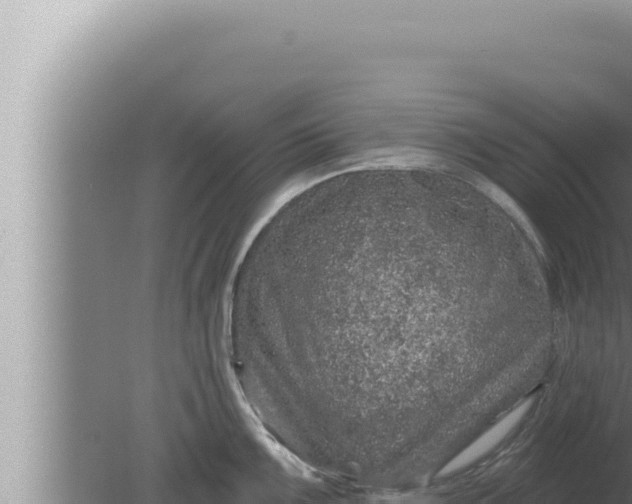 X0000080101099200612221732