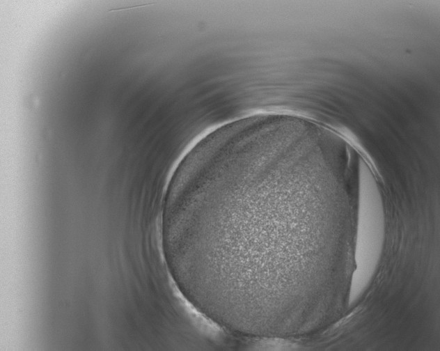 X0000080101100200612221732