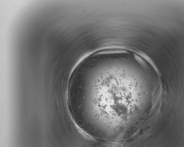 X0000080101101200612221732