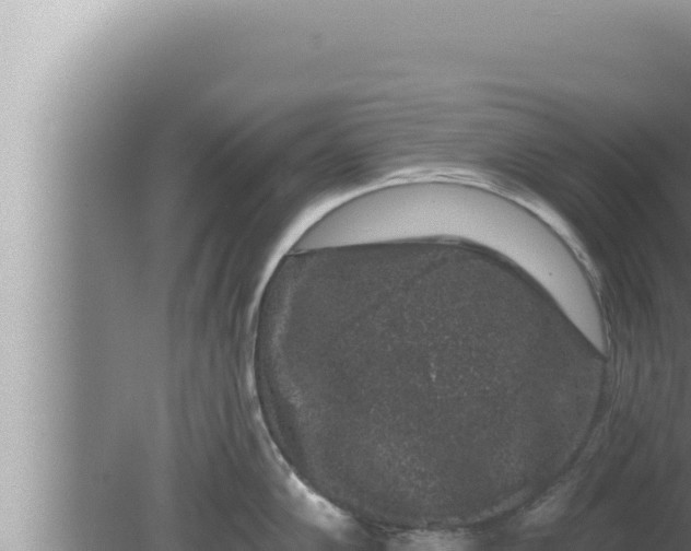 X0000080101102200612221732