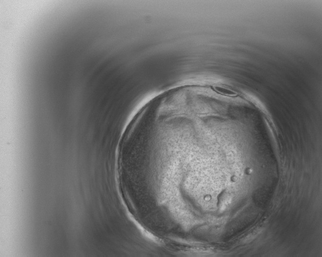 X0000080101103200612221732