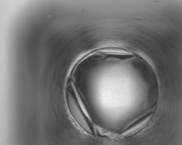 X0000080101104200612221732