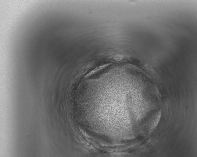 X0000080101105200612221731