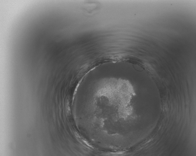 X0000080101106200612221731