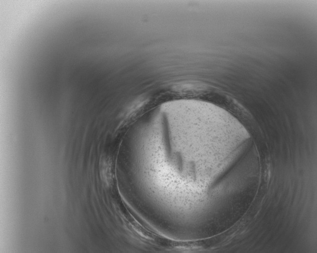 X0000080101108200612221731