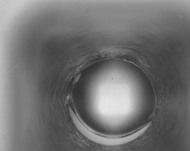 X0000080101109200612221731