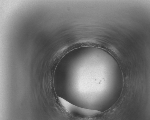 X0000080101111200612221731