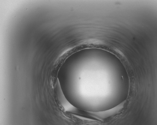 X0000080101112200612221731