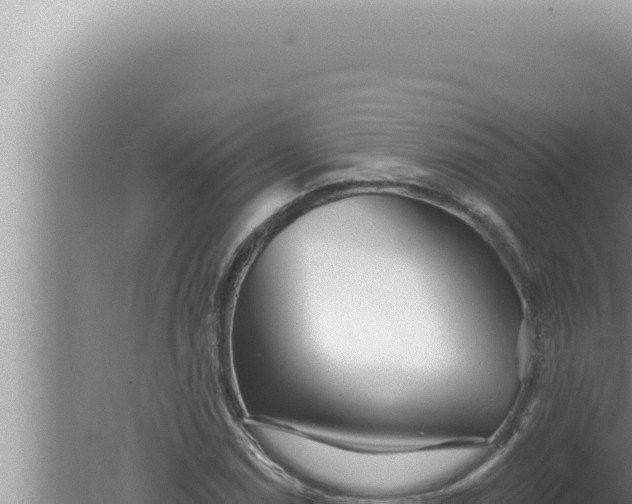 X0000080101114200612221731