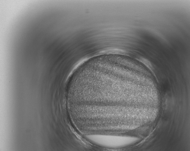 X0000080101115200612221731