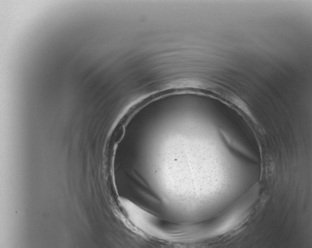 X0000080101116200612221731