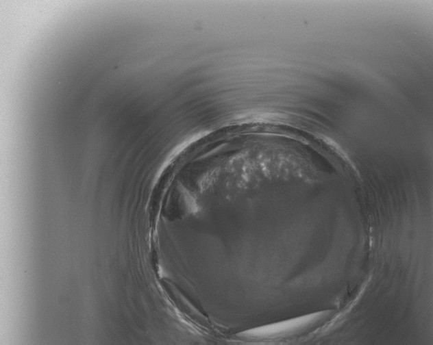 X0000080101117200612221731