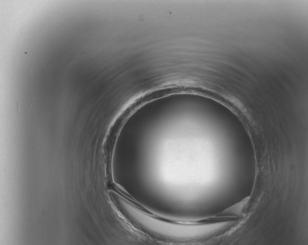 X0000080101118200612221731