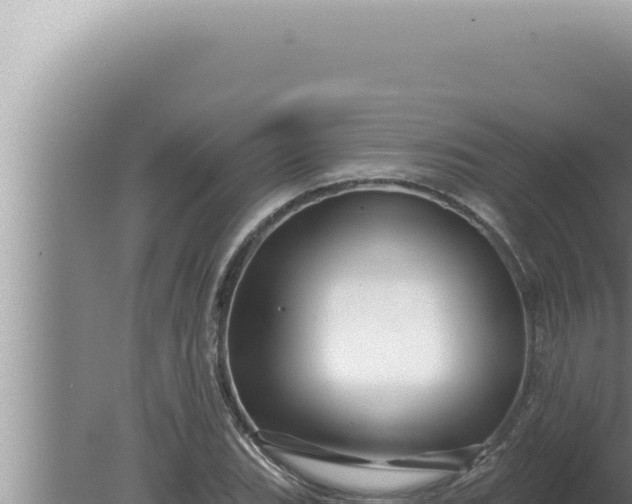 X0000080101119200612221731