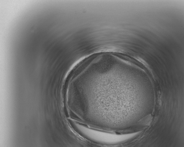 X0000080101120200612221731