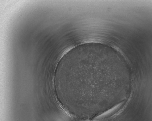 X0000080101121200612221731