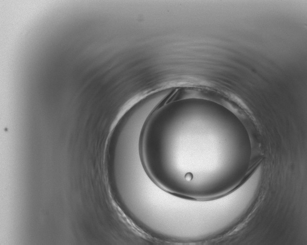 X0000080101122200612221731