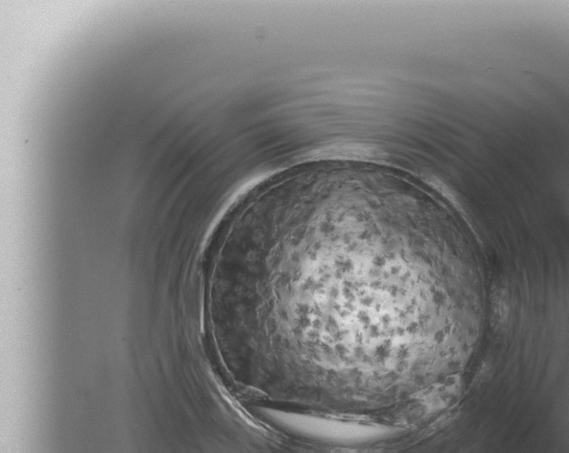 X0000080101123200612221731