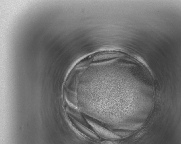 X0000080101124200612221732